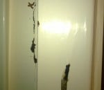 termite breaking through walls